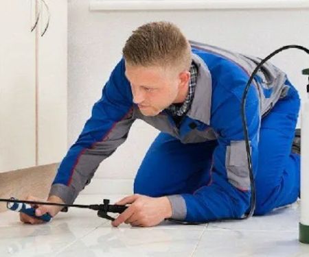 Wilkey Services Pest Management