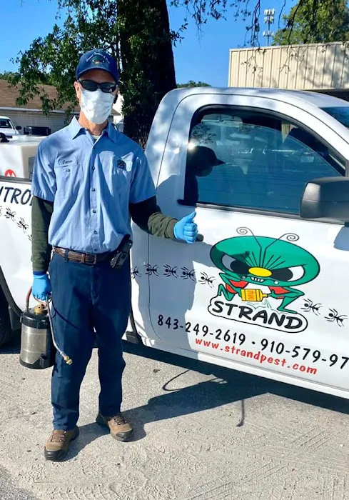 Strand Termite & Pest Control Picture 3