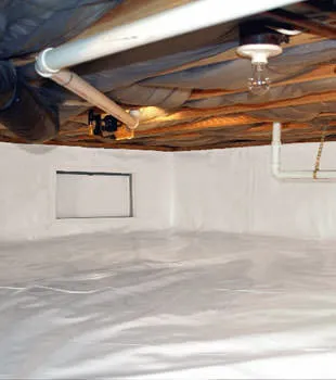 ANTEX Exterminating Picture 3