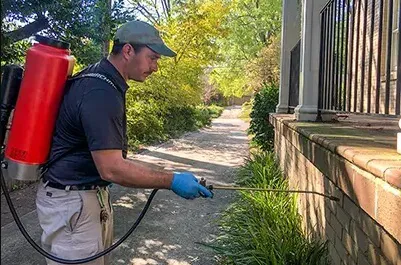 Pest Management Systems, Inc. Pinehurst & Sandhills Picture 4