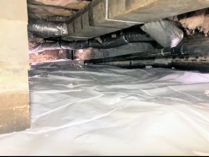 Ferguson Pest and Home, LLC Picture 5