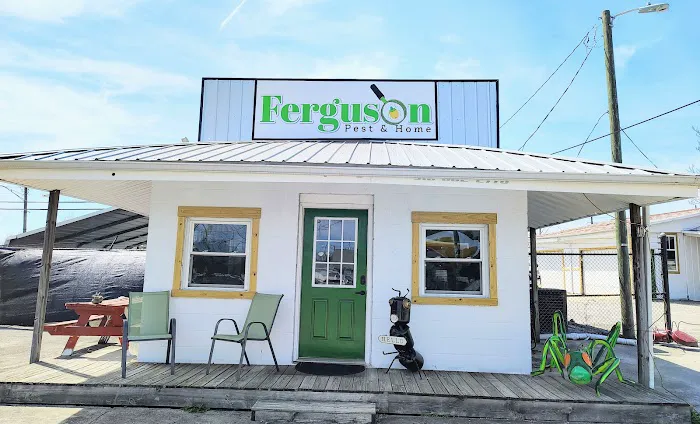 Ferguson Pest and Home, LLC Picture 2