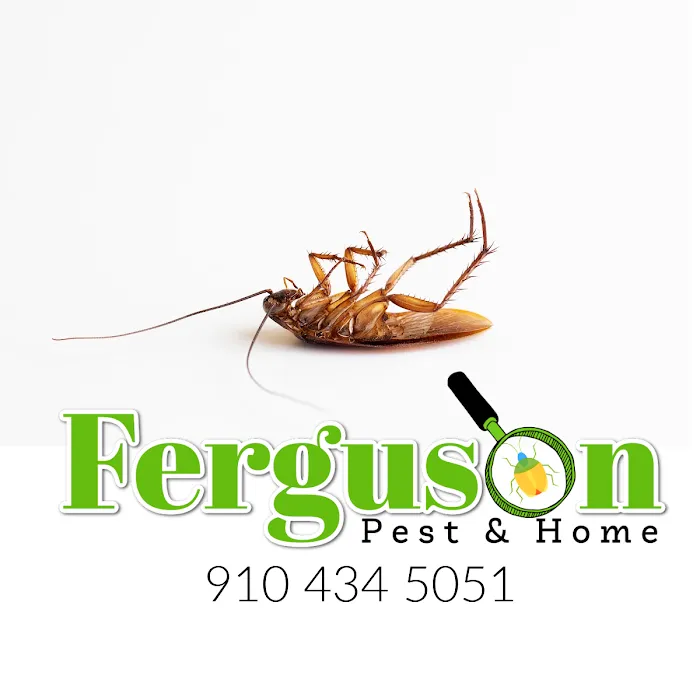 Ferguson Pest and Home, LLC Picture 10