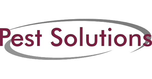 Pest Solutions Picture 8