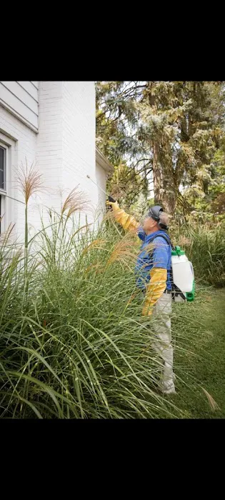 Pest Solutions Picture 1