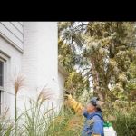 Pest Solutions