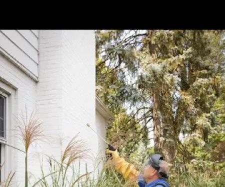 Pest Solutions