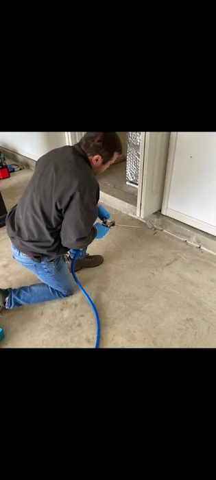 Pest Solutions Picture 6