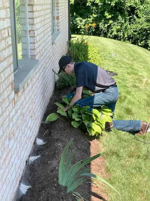 Pest Solutions Picture 3