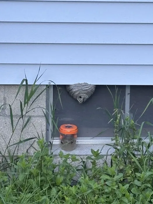 Parshall Pest Control Experts Picture 10