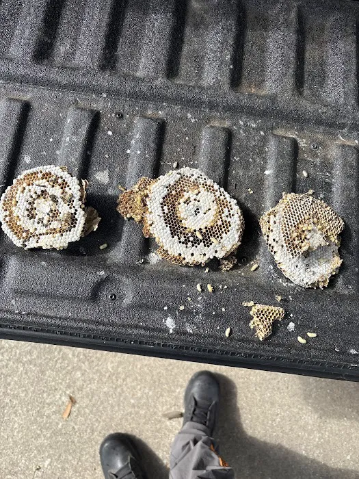 Parshall Pest Control Experts Picture 4