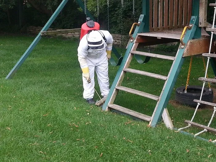 AntEco Pest Control Picture 2