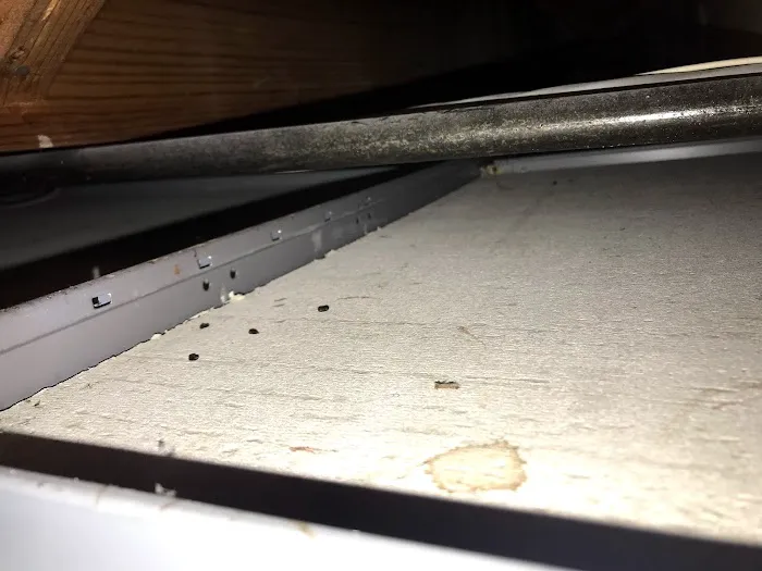 AntEco Pest Control Picture 1