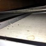 AntEco Pest Control