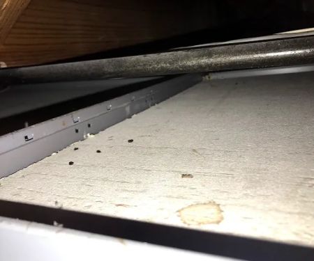 AntEco Pest Control