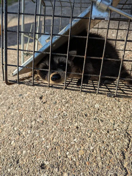 AntEco Pest Control Picture 7