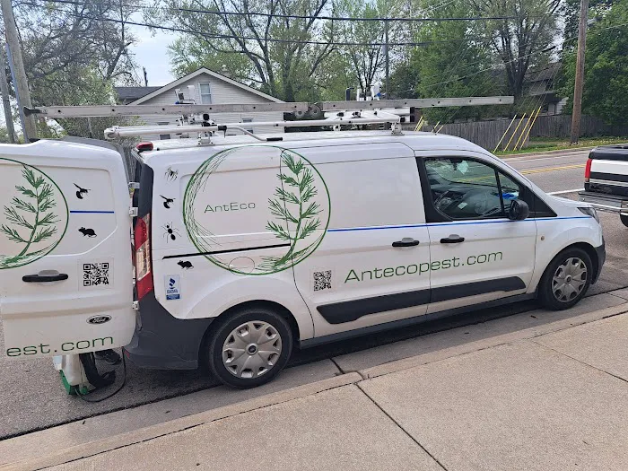 AntEco Pest Control Picture 6