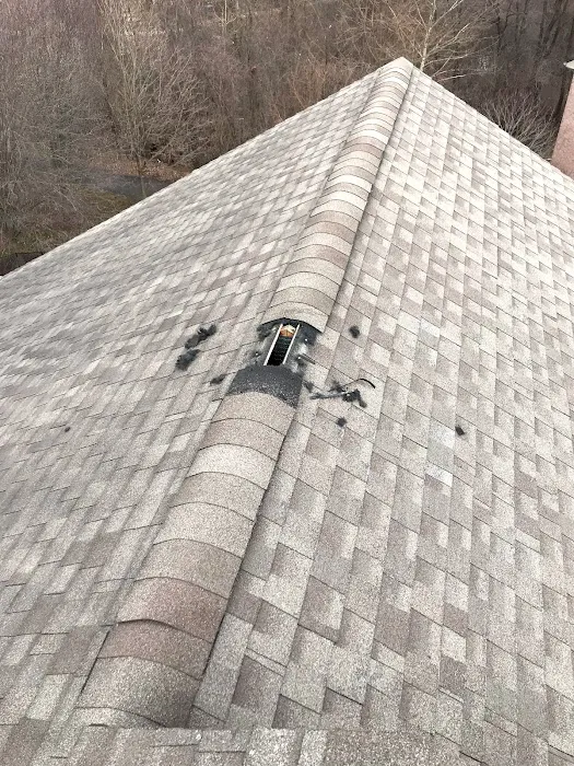 AntEco Pest Control Picture 8