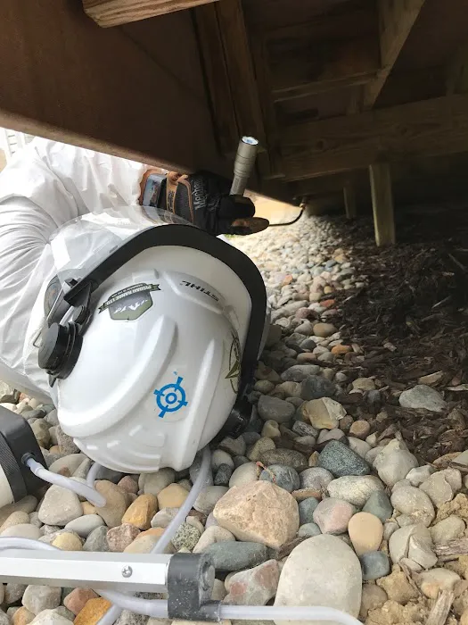 Wingman Pest Control Picture 10