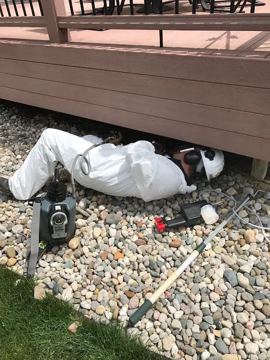 Wingman Pest Control Picture 8