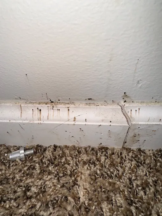 Hi-Tech Pest Control Picture 6