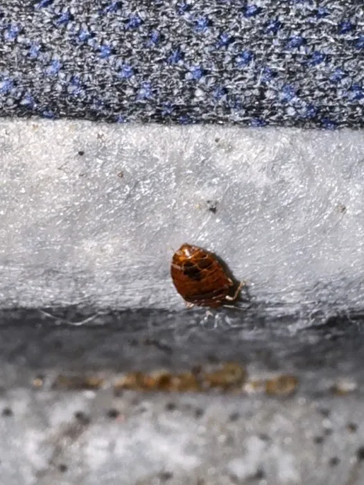 Hi-Tech Pest Control Picture 7