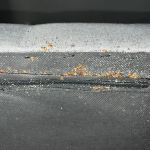 Hi-Tech Pest Control