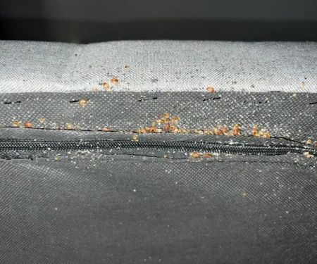 Hi-Tech Pest Control