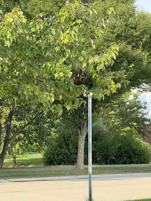 ProAction Pest Control Picture 9