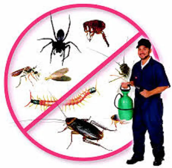 M&H Pest Control Detroit Picture 2