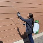 Rove Pest Control