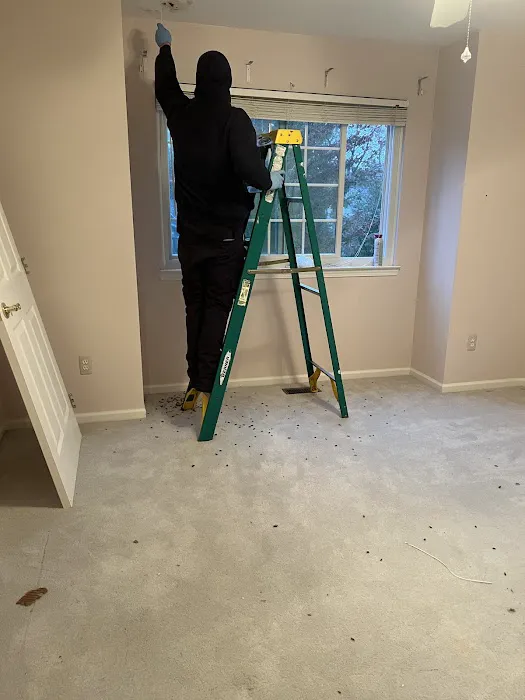 BTR Pest Control Picture 8