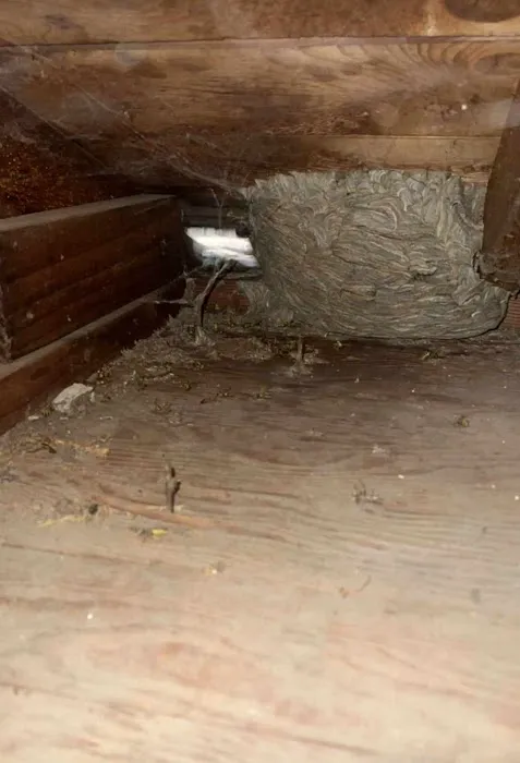 BTR Pest Control Picture 1