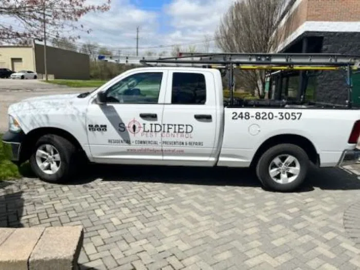 Solidified Pest Control Picture 5