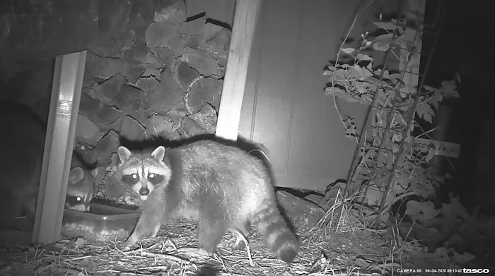 Far Hills Pest Control and Home Services Picture 1