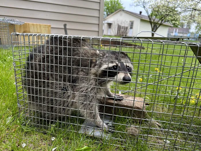 Far Hills Pest Control and Home Services Picture 10