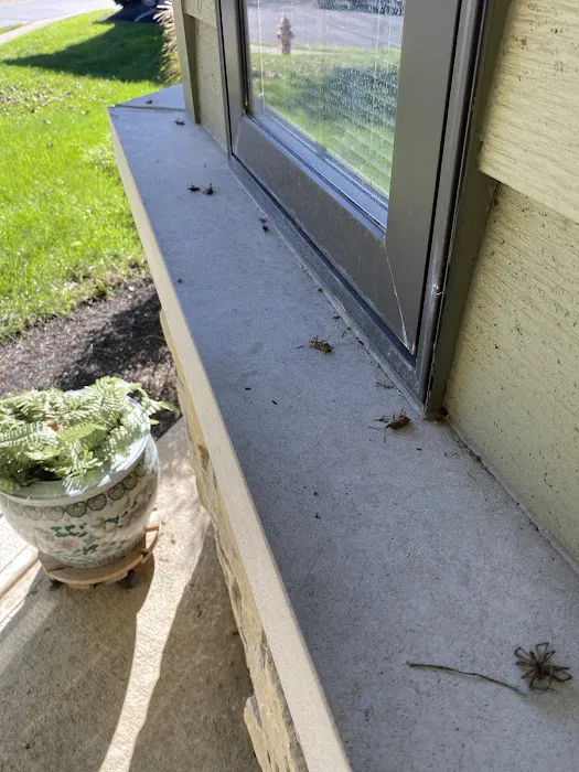 Greenix Pest Control Picture 1