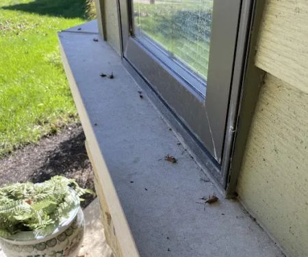 Greenix Pest Control