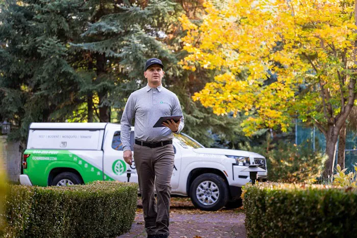Greenix Pest Control Picture 2