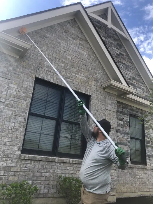 Greenix Pest Control Picture 3