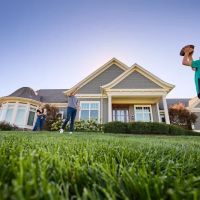 Ziehler Lawn Care ico