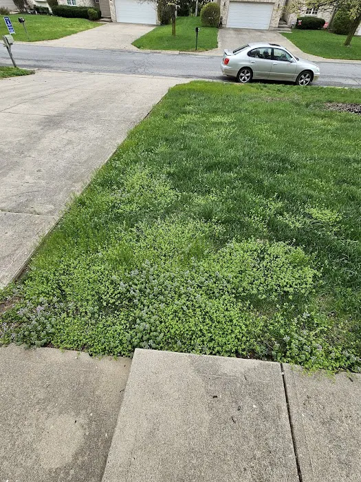 Ziehler Lawn Care Picture 10