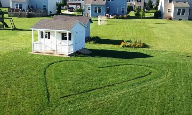Ziehler Lawn Care Picture 6