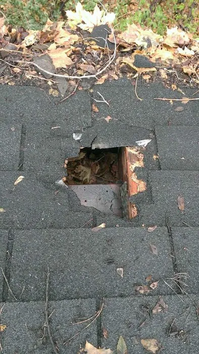 Barnes Wildlife Control Picture 2