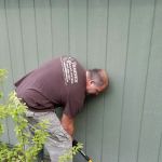Barnes Wildlife Control