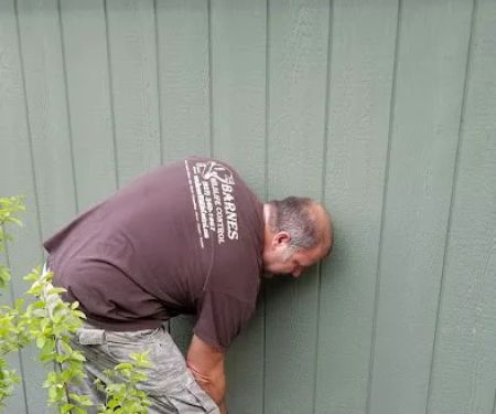 Barnes Wildlife Control