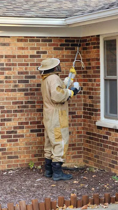 Knight Pest Control Picture 10