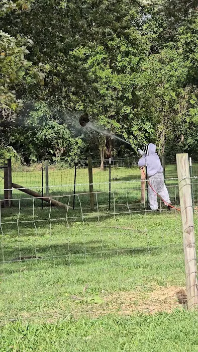 Creepy Crawlers Perimeter Pest Control Picture 5
