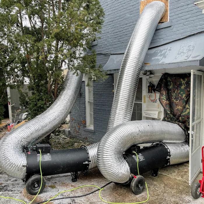 Knight Pest Control Picture 7