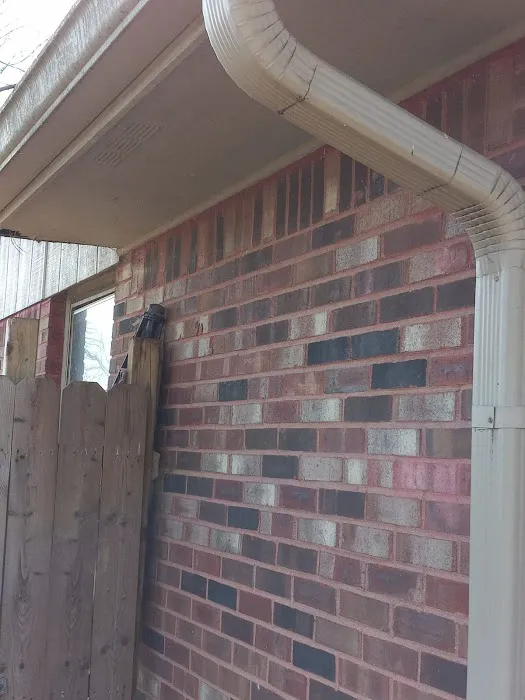 Absolute Pest Busters LLC Picture 1
